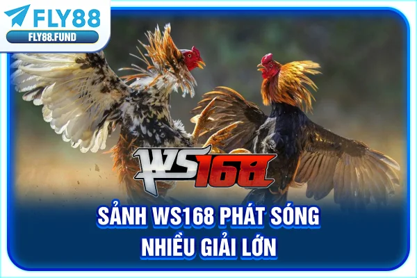 Sảnh WS168 phát sóng nhiều giải lớn Sảnh WS168 phát sóng nhiều giải lớn