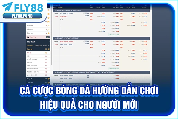 Cá Cược Bóng Đá Hướng Dẫn Chơi Hiệu Quả Cho Người Mới