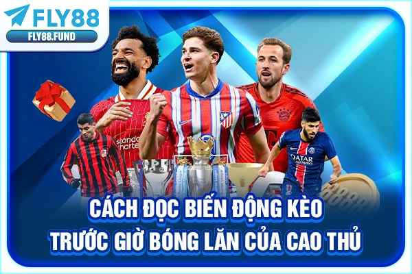 Cách đọc biến động kèo trước giờ bóng lăn của cao thủ Cách đọc biến động kèo trước giờ bóng lăn của cao thủ