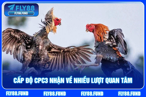 Cấp độ CPC3 nhận về nhiều lượt quan tâm Cấp độ CPC3 nhận về nhiều lượt quan tâm