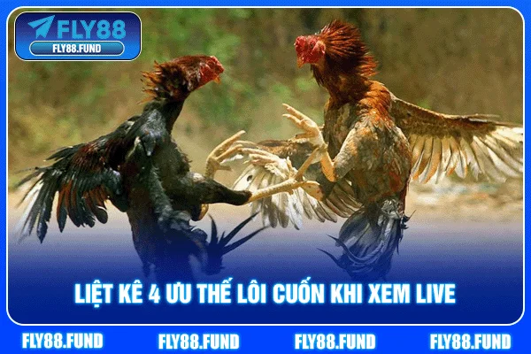 Liệt kê 4 ưu thế lôi cuốn khi xem live Liệt kê 4 ưu thế lôi cuốn khi xem live
