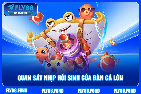 Quan sát nhịp hồi sinh của đàn cá lớn Quan sát nhịp hồi sinh của đàn cá lớn