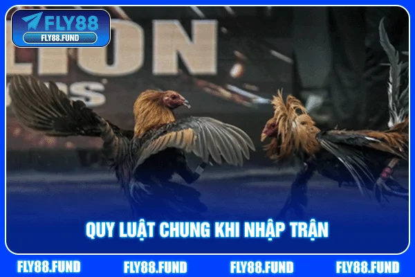 Quy luật chung khi nhập trận Quy luật chung khi nhập trận